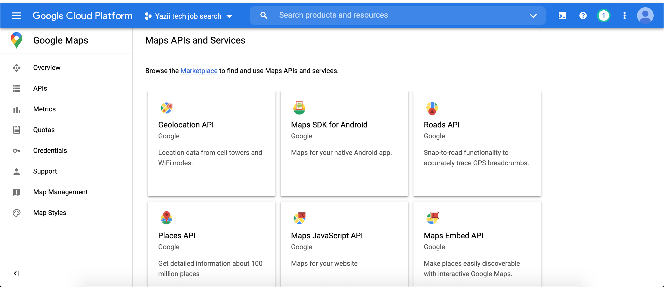Google API services